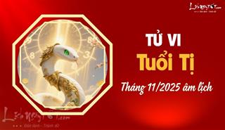 Tử vi tháng 11/2025 tuổi Tị âm lịch: Giai đoạn nhẹ nhàng, thuận buồm xuôi gió