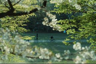 Tử vi thứ 5 ngày 30/10/2025 của 12 cung hoàng đạo: Nhân Mã có gu, Song Ngư tự tin