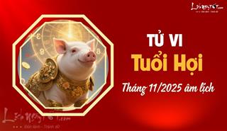 Tử vi tháng 11/2025 tuổi Hợi âm lịch: Mọi sự hanh thông, gặp hung hóa cát