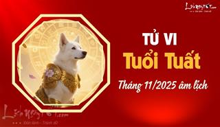 Tử vi tháng 11/2025 tuổi Tuất âm lịch: Giai đoạn chững lại đòi hỏi sự bứt phá