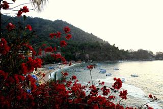 Tử vi thứ 2 ngày 3/11/2025 của 12 cung hoàng đạo: Xử Nữ nổi loạn, Bạch Dương sợ buồn