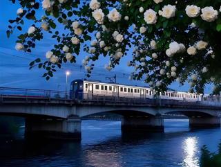 Tử vi thứ 7 ngày 1/11/2025 của 12 cung hoàng đạo: Nhân Mã tự tin, Ma Kết bối rối