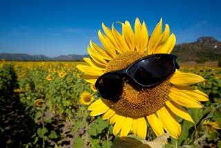 2 ngày cuối tuần này 4-5/10, vì bạn xứng đáng, HẠNH PHÚC sẽ mỉm cười với 3 con giáp này!