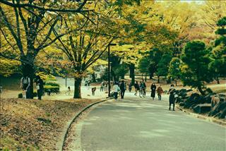 Tử vi Thứ 6 ngày 31/10/2025 của 12 cung hoàng đạo: Xử Nữ vui vẻ, Song Ngư tinh tế