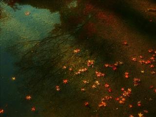 Tử vi Thứ 6 ngày 10/10/2025 của 12 cung hoàng đạo: Xử Nữ lo lắng, Ma Kết bấp bênh