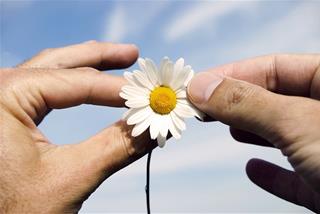 Tử vi Chủ nhật ngày 16/11/2025 của 12 con giáp: Tý số đỏ, Ngọ kiệt sức