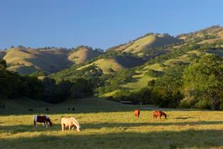 Tử vi thứ 5 ngày 20/11/2025 của 12 cung hoàng đạo: Sư Tử mạnh mẽ, Cự Giải bận