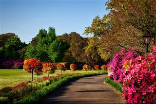 Tử vi thứ 5 ngày 27/11/2025 của 12 con giáp: Hợi may mắn, Tuất lạc quan