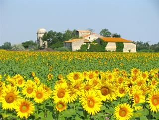 Tử vi thứ 5 ngày 27/11/2025 của 12 cung hoàng đạo: Sư Tử gan dạ, Cự Giải ngọt ngào