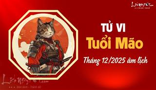Tử vi tháng 12/2025 tuổi Mão âm lịch: Thị phi dồn dập, hạn chế đi đường xa
