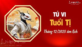 Tử vi tháng 12/2025 tuổi Tị âm lịch: May mắn top đầu, khởi SẮC mọi mặt