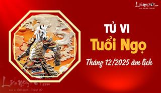 Tử vi tháng 12/2025 tuổi Ngọ âm lịch: Số an nhàn nhưng nên sống KÍN tiếng