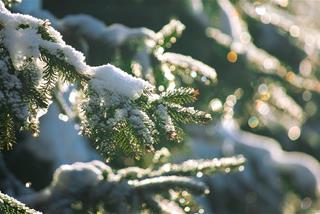 Tử vi tháng 12/2025 của 12 con giáp âm lịch: Cuối năm tuổi nào vất vả nhất?