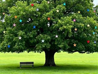 Tử vi thứ 5 ngày 6/11/2025 của 12 cung hoàng đạo: Nhân Mã bất an, Bạch Dương hài hước