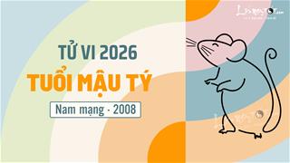 Tử vi 2026 tuổi Mậu Tý nam mạng 2008: Ổn định hơn so với những tuổi Tý khác, yên tâm phát triển