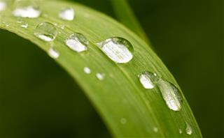 Tử vi tuần mới từ 10 - 16/11/2025 của 12 con giáp: Sửu phục hồi, Thìn đa tài