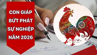 Không muốn cũng PHẢI TIN - 3 con giáp XUẤT SẮC nhất trong sự nghiệp 2026, con giáp đầu tiên gây bất ngờ nhất!
