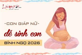 Năm 2026 dễ có tin hỷ THỤ THAI thành công, 4 con giáp nữ này bầu bí còn XINH ra, cuối năm mẹ tròn con vuông