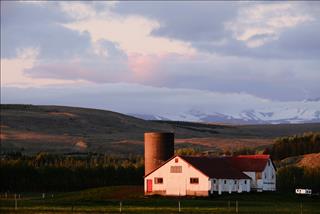 Tử vi Chủ Nhật ngày 14/12/2025 của 12 cung hoàng đạo: Song Ngư sáng tạo
