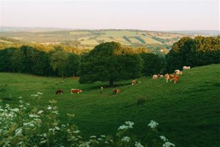 Tử vi thứ 2 ngày 22/12/2025 của 12 cung hoàng đạo: Xử Nữ cởi mở