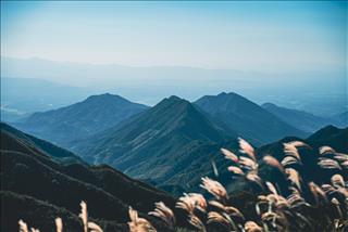 Tử vi Thứ 4 ngày 31/12/2025 của 12 cung hoàng đạo: Xử Nữ tỉ mỉ tận ngày cuối năm