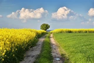 Tử vi thứ 5 ngày 1/1/2026 của 12 cung hoàng đạo: Nhân Mã viên mãn, Song Tử hài hước