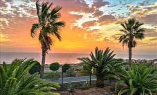 Tử vi Chủ nhật ngày 11/1/2026 của 12 con giáp: Tý lận đận, Tị tốt số