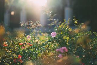 Tử vi thứ 2 ngày 8/12/2025 của 12 cung hoàng đạo: Sư Tử ấm áp, Nhân Mã nóng tính