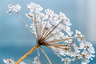 Tử vi thứ 5 ngày 11/12/2025 của 12 con giáp: Tý thông minh, Hợi vượt trội