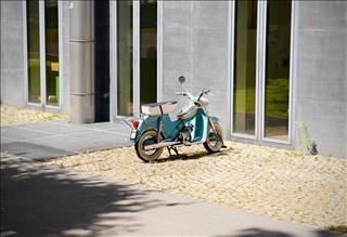 Tử vi tuần mới từ 8 - 14/12/2025 của 12 con giáp: Dần tốt tính, Thìn may mắn