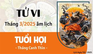 Tử vi tháng 3/2025 tuổi Hợi âm lịch: Áp lực và trở lực ngày càng nhiều