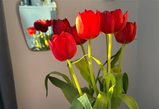 Tử vi thứ 5 ngày 6/2/2025 của 12 cung hoàng đạo: Nhân Mã độc đáo, Song Tử nóng tính