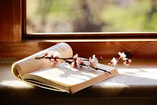 Tử vi thứ 2 ngày 7/4/2025 của 12 con giáp: Hợi gặp rắc rối, Dậu rủng rỉnh