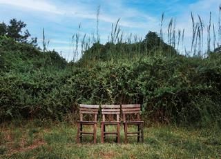 Tử vi thứ 7 ngày 15/3/2025 của 12 con giáp: Sửu khó nắm bắt, Tuất thất thường