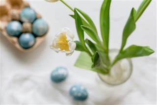 Tử vi Thứ 3 ngày 22/4/2025 của 12 cung hoàng đạo: Xử Nữ mệt mỏi, Song Ngư thông minh