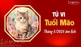 Tử vi tháng 5/2025 tuổi Mão âm lịch: Tạm thời yên ổn