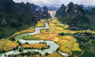 Tử vi thứ 5 ngày 1/5/2025 của 12 con giáp: Nghỉ lễ Dần có tiền, Ngọ nghĩ nhiều