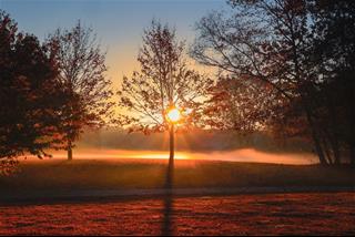 Tử vi tuần mới của 12 con giáp từ 21-27/4/2025: Dần giỏi giang, Tị thăng tiến