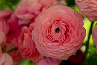 Tử vi thứ 4 ngày 28/5/2025 của 12 cung hoàng đạo: Hổ Cáp có lộc, Bảo Bình khỏe mạnh