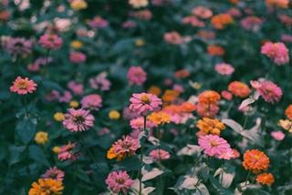 Tử vi Chủ Nhật ngày 1/6/2025 của 12 cung hoàng đạo: Bảo Bình bất cẩn