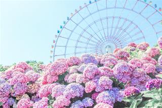 Tử vi thứ 5 ngày 8/5/2025 của 12 cung hoàng đạo: Sư Tử chữa lành, Bảo Bình thông minh