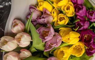 Tử vi thứ 4 ngày 11/6/2025 của 12 cung hoàng đạo: Thiên Bình thay đổi Song Ngư sáng suốt