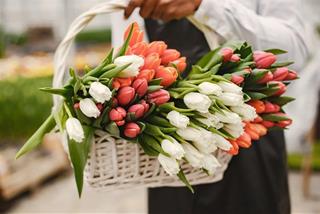 Tử vi tuần mới của 12 con giáp (30/6-6/7/2025): Tị vất vả, Tý có lộc