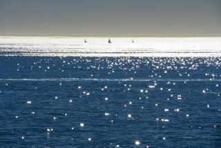 Tử vi thứ 2 ngày 16/6/2025 của 12 cung hoàng đạo: Sư Tử nổi điên