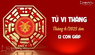 Tử vi tháng 6/2025 của 12 con giáp âm lịch: Ai thăng hoa rực rỡ, ai khó khăn chồng chất?