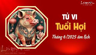 Tử vi tháng 6/2025 tuổi Hợi âm lịch: Đón nguồn năng lượng dồi dào, cần phải bứt phá