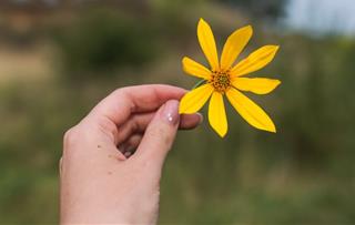 Tử vi thứ 7 ngày 7/6/2025 của 12 cung hoàng đạo: Sư Tử tỏa sáng, Song Tử phiêu lưu