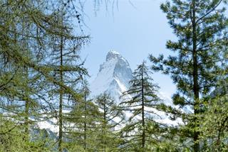 Tử vi tuần mới của 12 cung hoàng đạo (14-20/7): Ma Kết rủng rỉnh, Kim Ngưu khó khăn