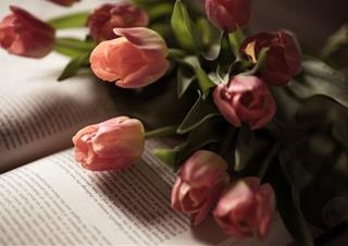 Tử vi thứ 7 ngày 12/7/2025 của 12 cung hoàng đạo: Cự Giải tích cực, Ma Kết hay nghĩ