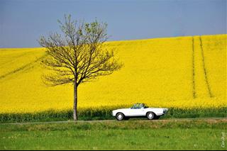 Tử vi thứ 2 ngày 21/7/2025 của 12 cung hoàng đạo: Cự Giải bất an, Song Tử dí dỏm